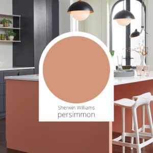 Sherwin Williams: Persimmon paint color